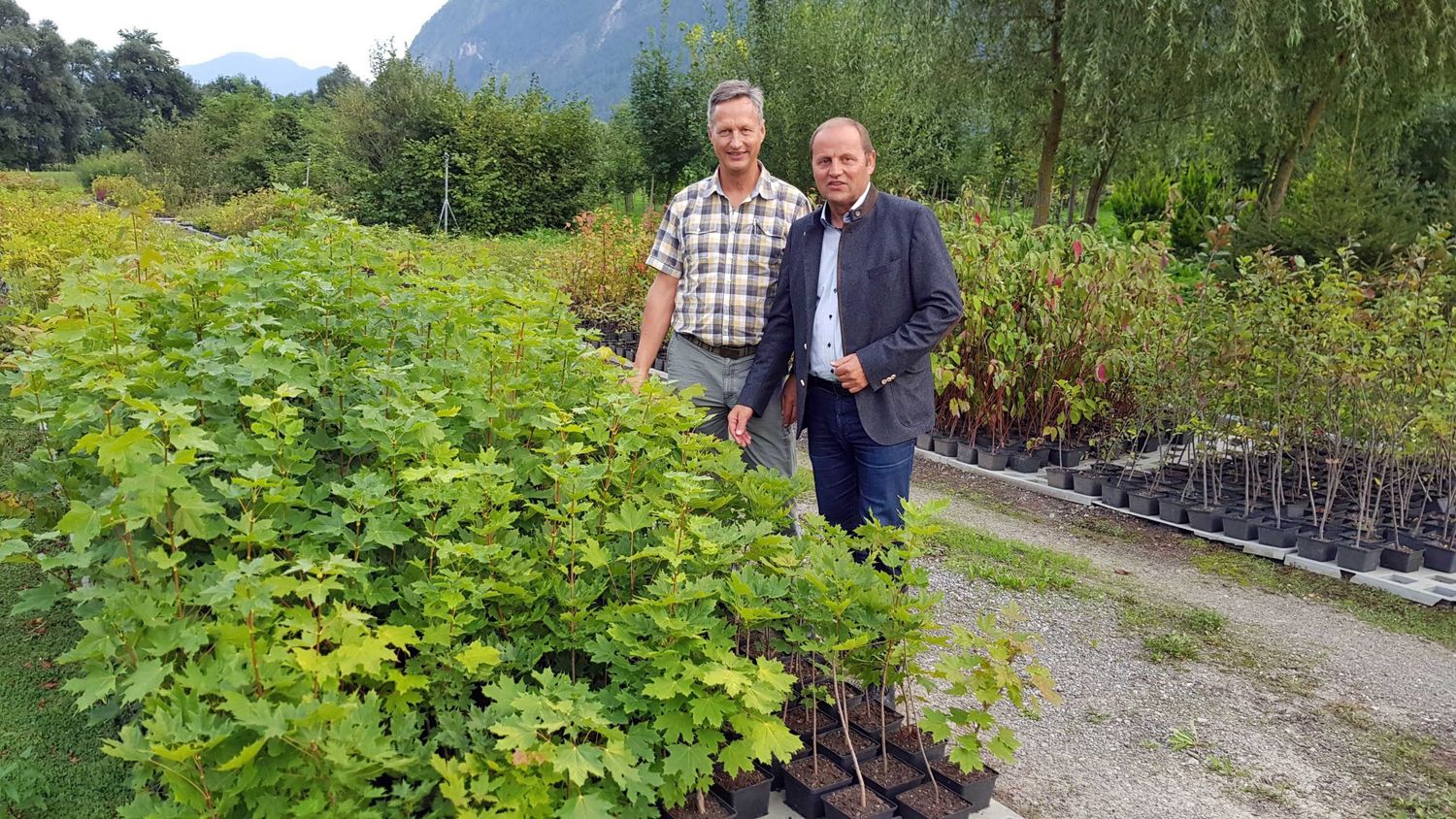 Landesforstdirektor Josef Fuchs und LHStv Josef Geisler verzeichnen eine starke Nachfrage nach Laubbäumen. Die drei Landesforstgärten stellen das notwendige Pflanzgut zur Verfügung.