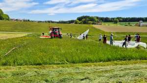 Aufwendiges Versuchsprojekt: Unmittelbar nach der Mahd, hier auf einem Feld in Frankenmarkt mit Hilfe von Schülern der landwirtschaftlichen Schule Vöcklabruck, erfolgte die Erfassung jener Insekten, die beim Wegfliegen ins Netz gingen, sowie jener, die aus dem liegendem Mähgut geschüttelt und eingesammelt wurden.