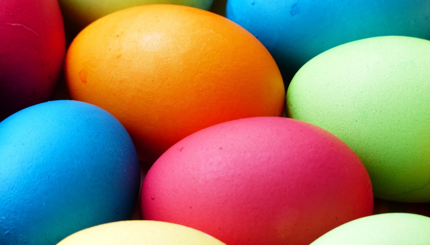 Egg 100165