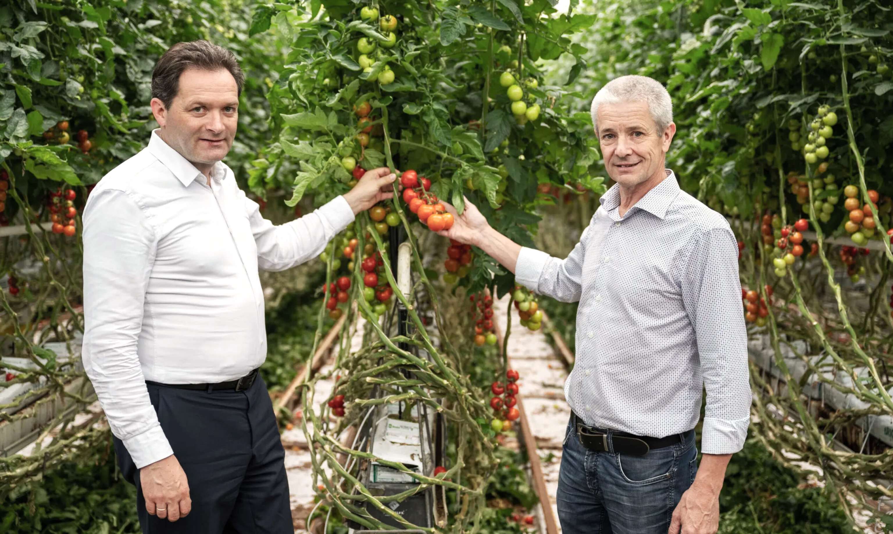 Minister Norbert Totschnig und der Wiener Gemüsebauer Martin Merschl