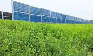 Bifaziale PV-Anlage