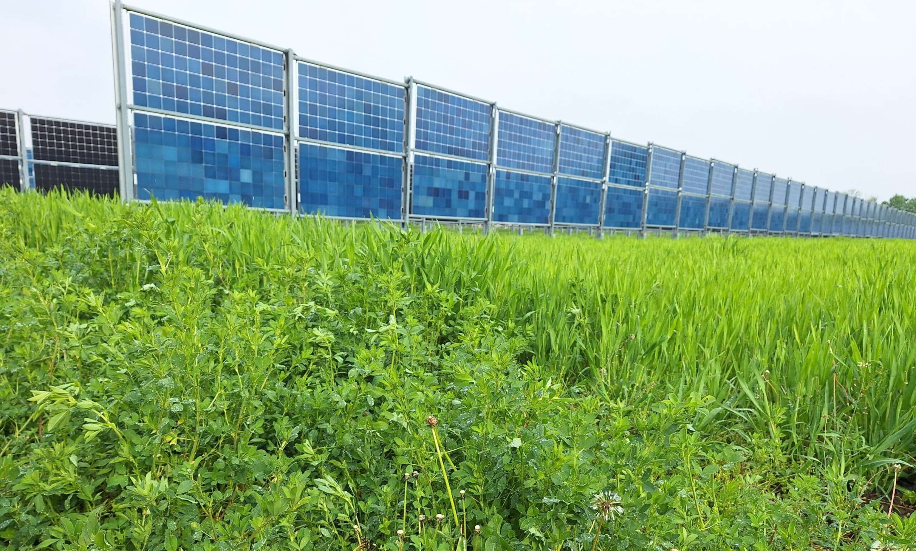 Bifaziale PV-Anlage
