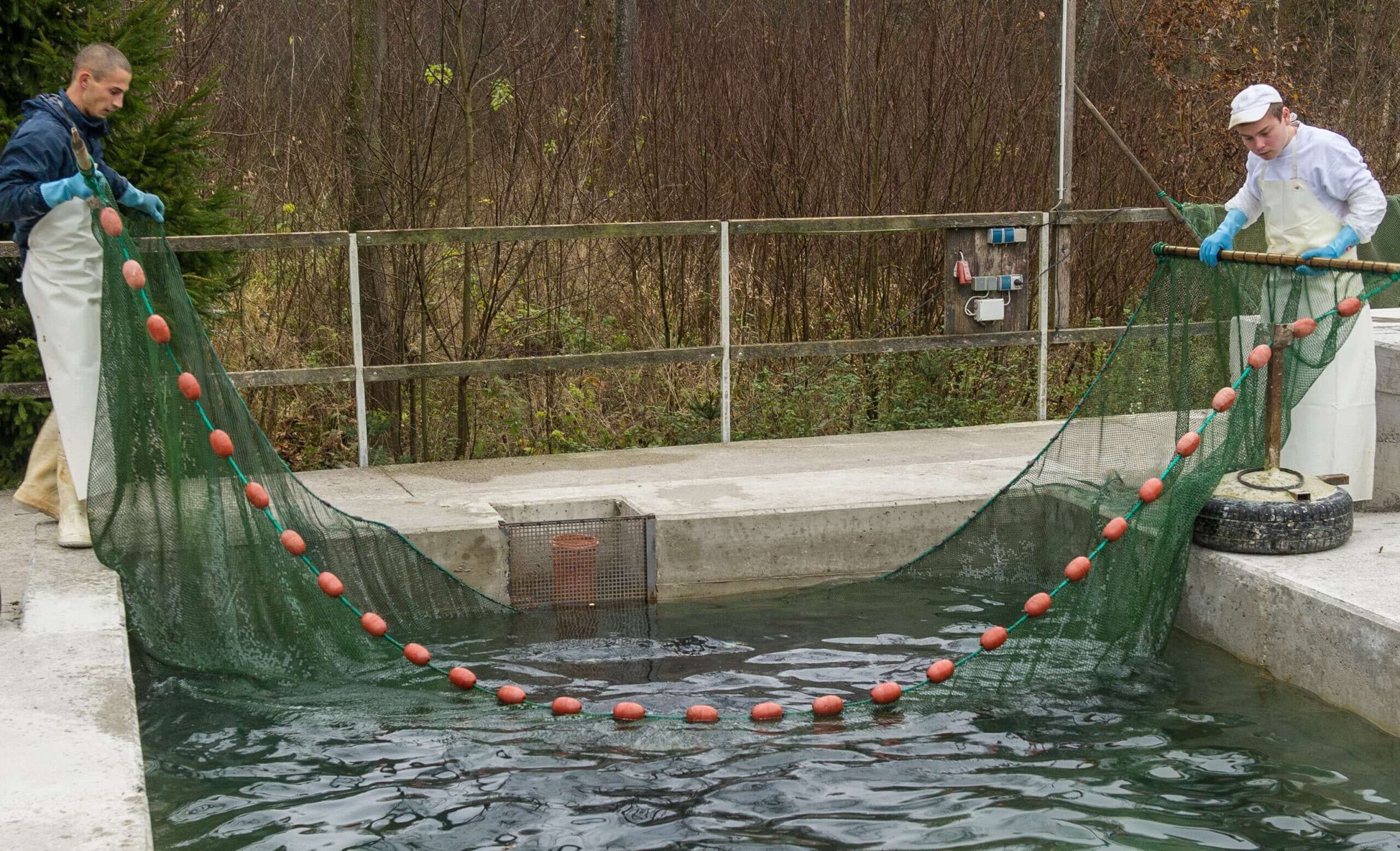 Durchflussanlage
