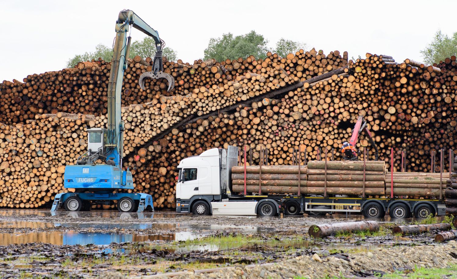 Holzverladung