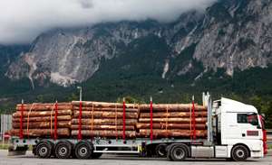 LKW mit Holz