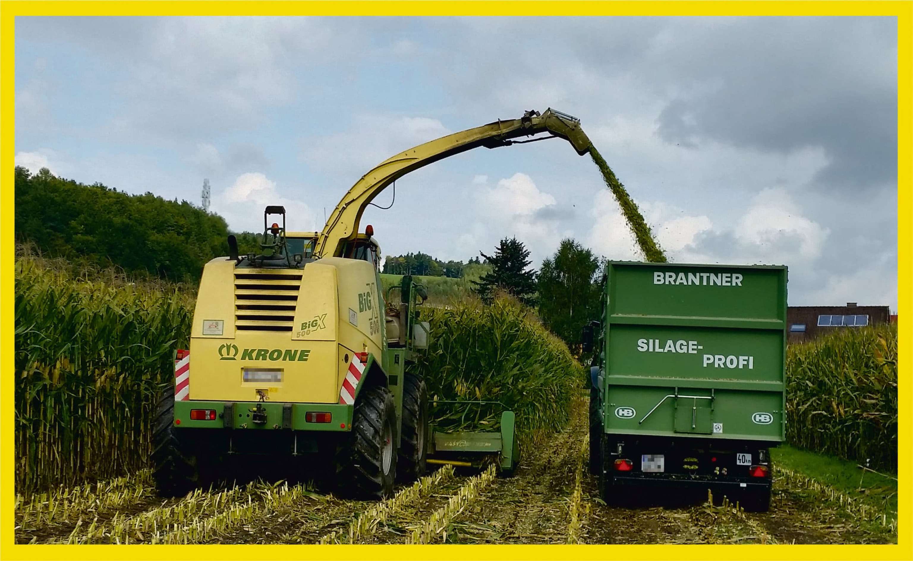 Eine erfolgreiche Ernte ist mit SY Glorius gesichert.