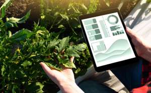 Farmer With Digital Tablet. Smart Farming And Precision Agriculture 4.0