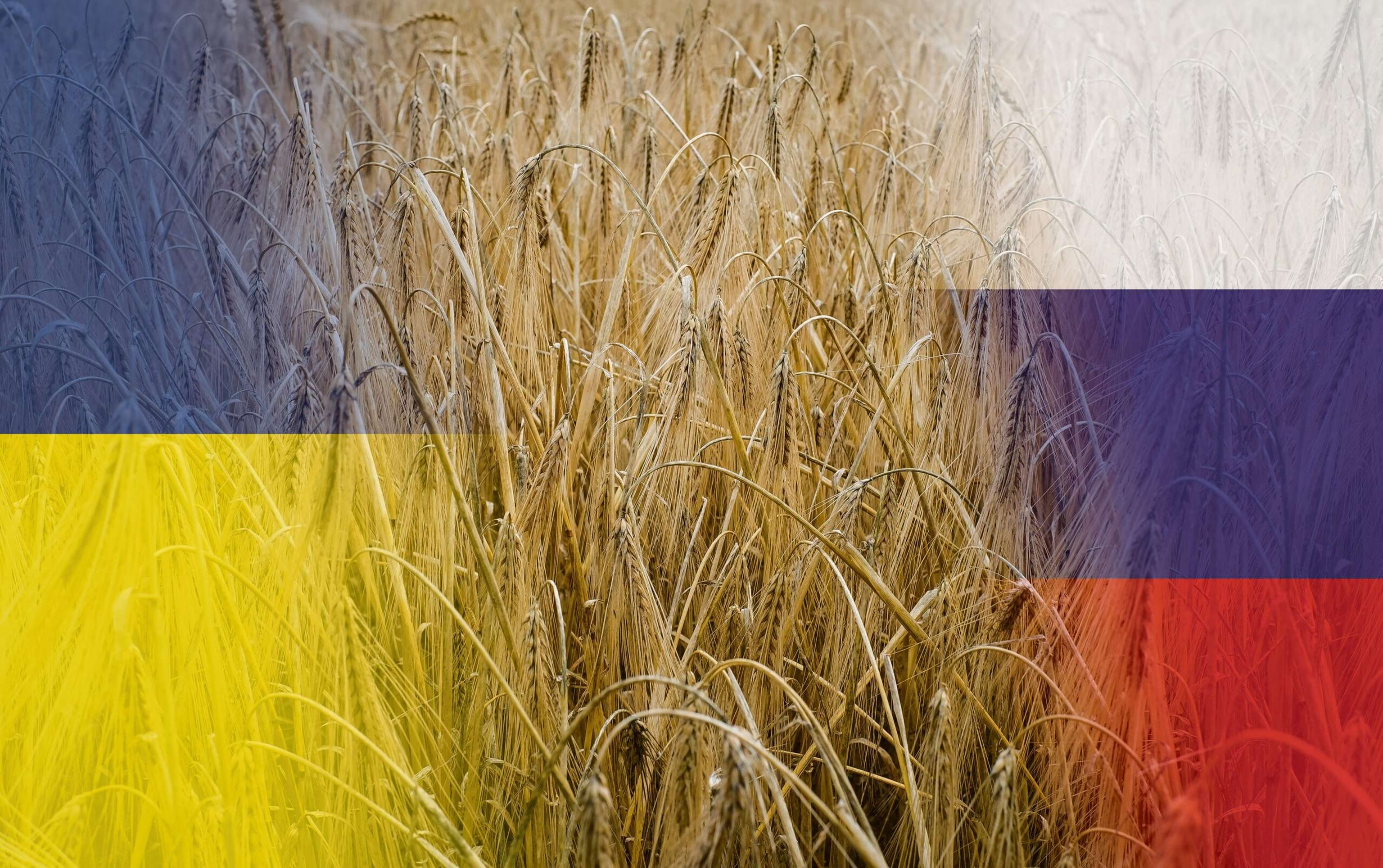 Flaggen mit Getreide