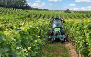 5DS TTV In Field Vineyard/orchard