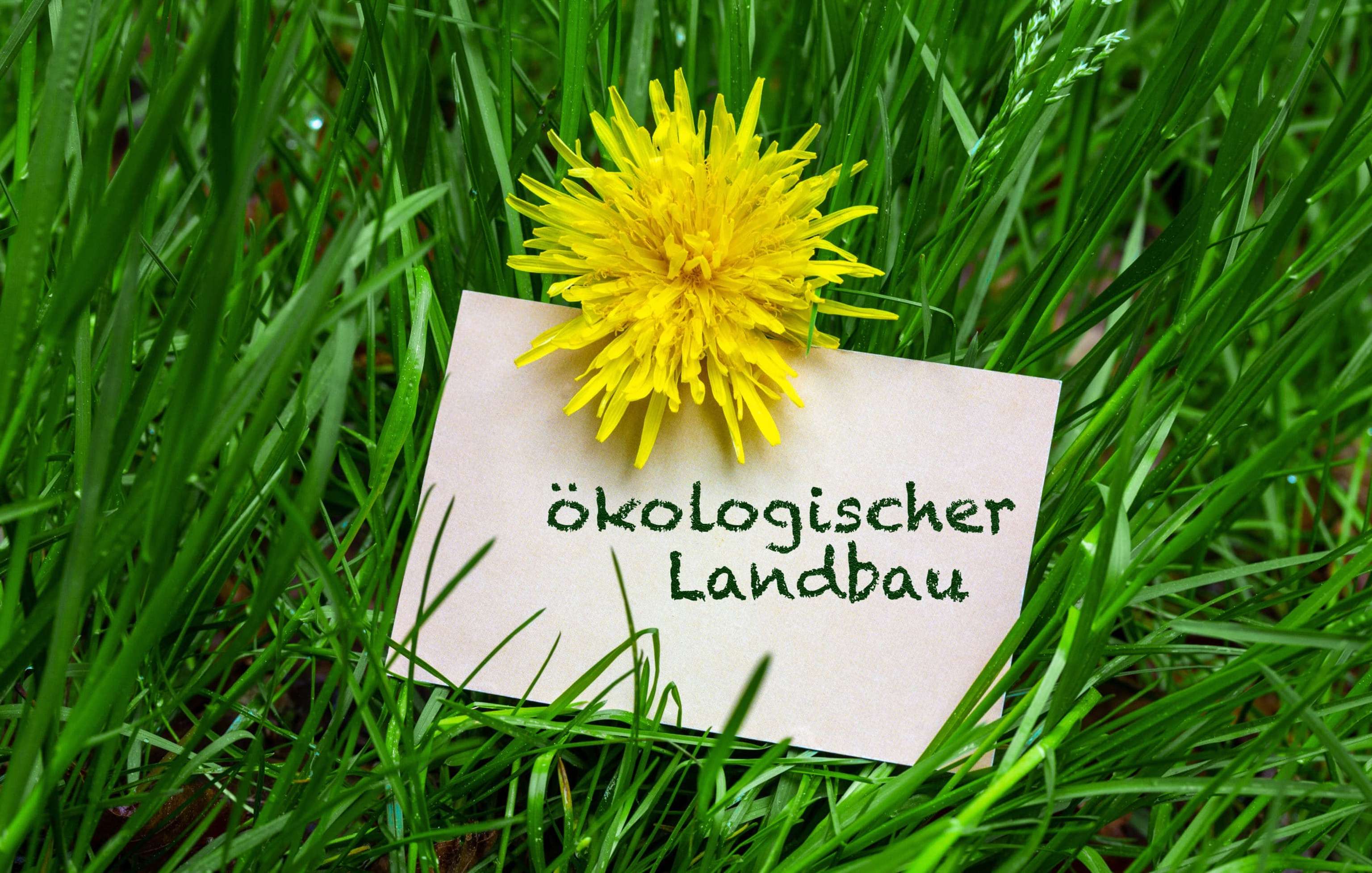 Ökologischer Landbau