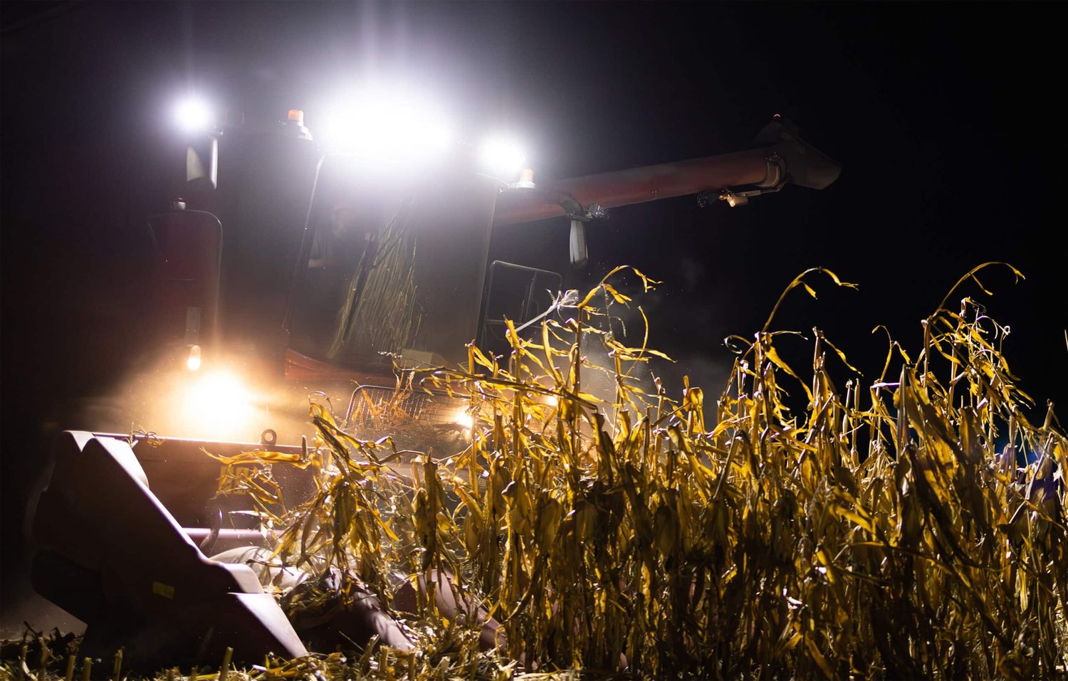 The Combine Harvests At Night