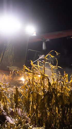 Wetterabhängige Arbeiten können nicht immer auf den nächsten Tag verschoben werden.Wichtig sei, wann der Lärm das Maß übersteigt.