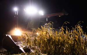 The Combine Harvests At Night