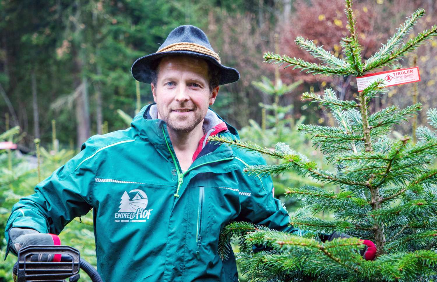 Adi, Christbaum; Motorsäge Nah