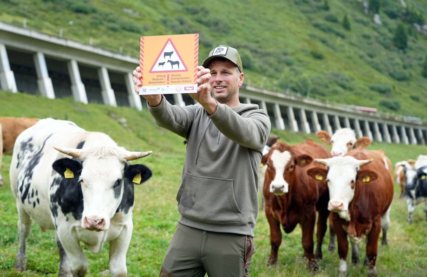 20250723 Alm Ist Kein Streichelzoo 5
