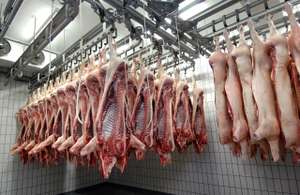 Schweinehälften