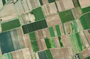 Luftbild Agrarlandschaft