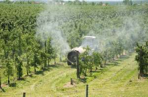 Pflanzenschutz in Apfelanlage