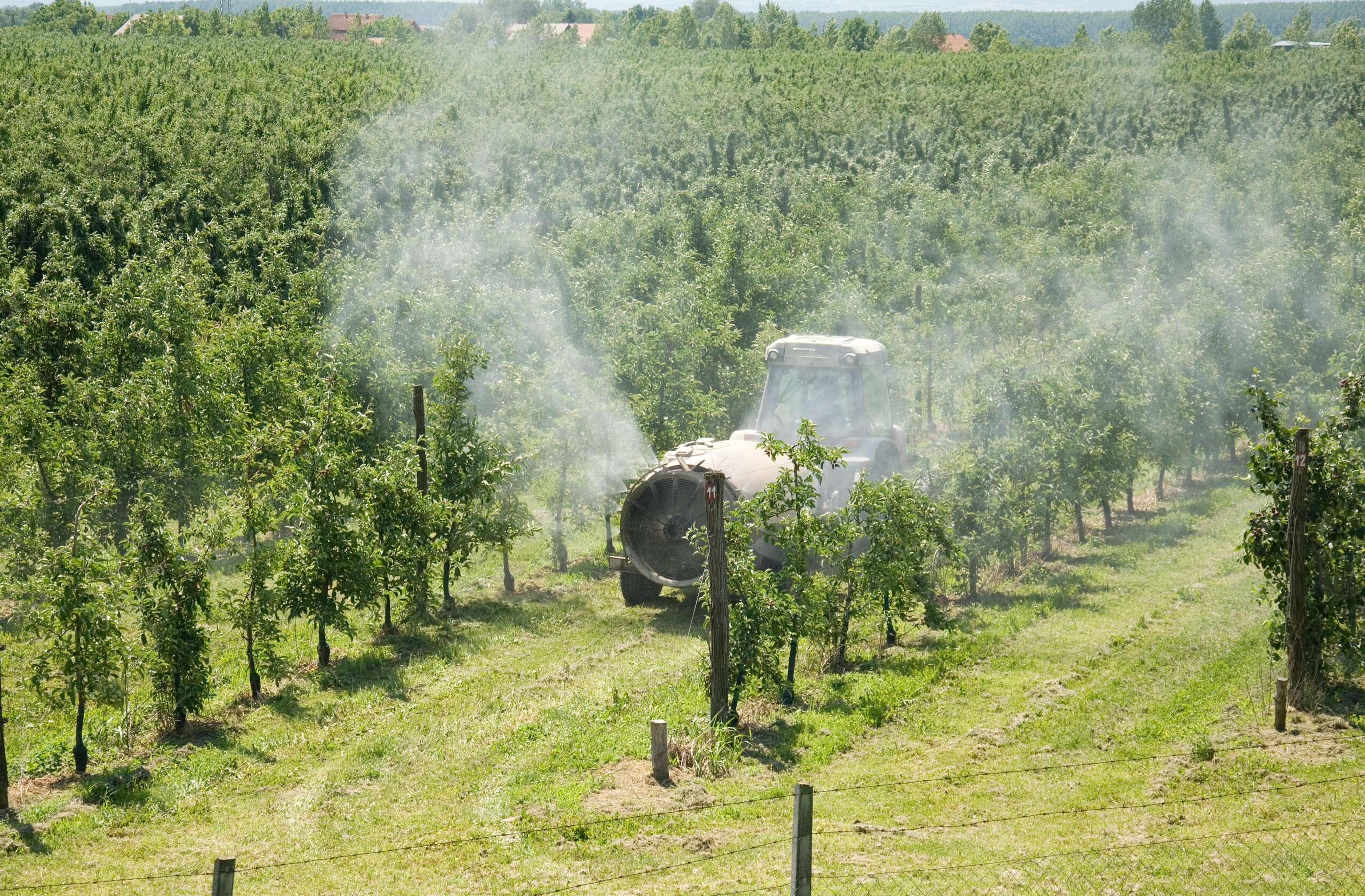 Pflanzenschutz in Apfelanlage
