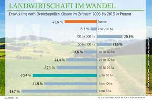 Grafik Wandel