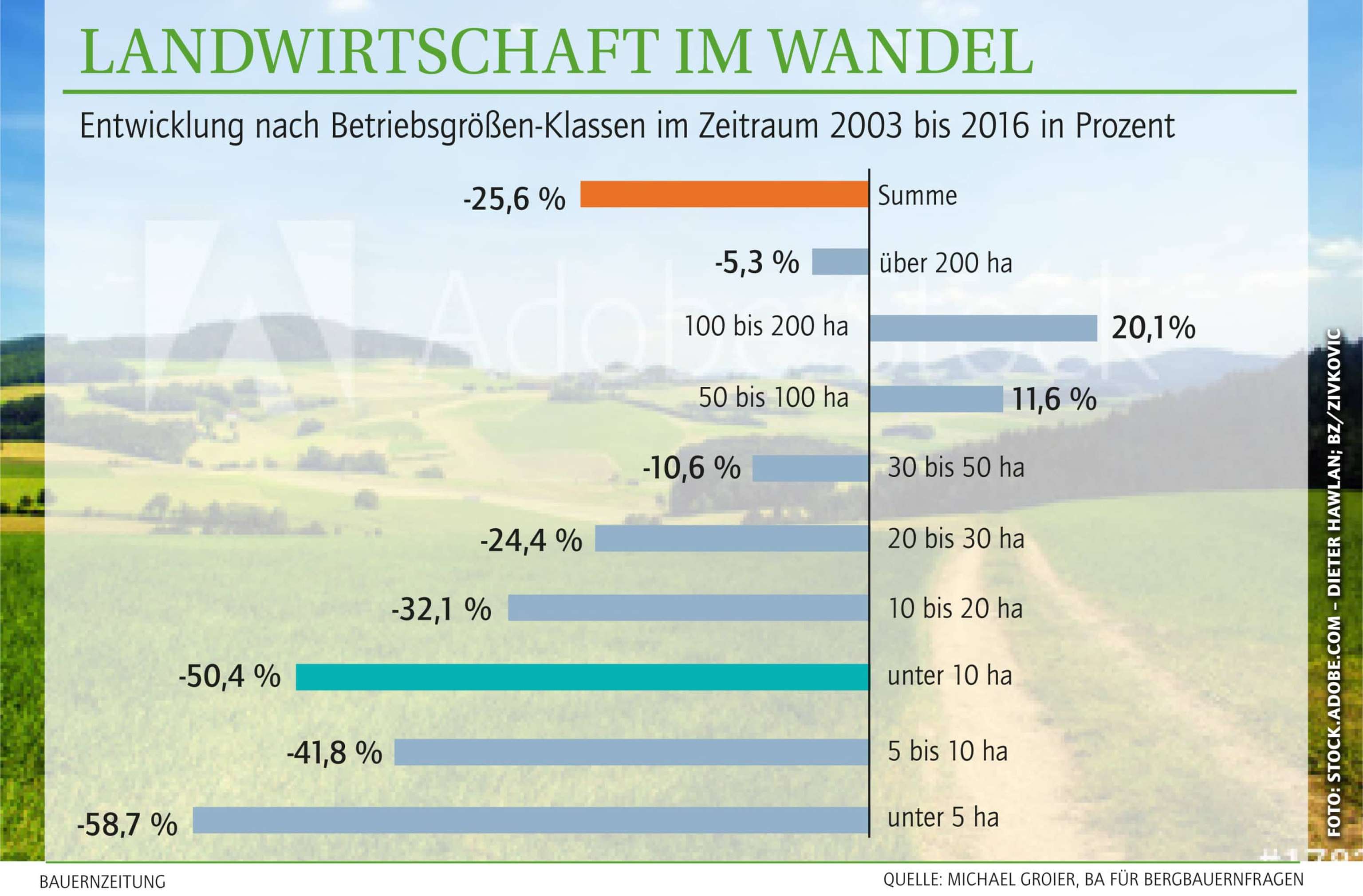 Grafik Wandel