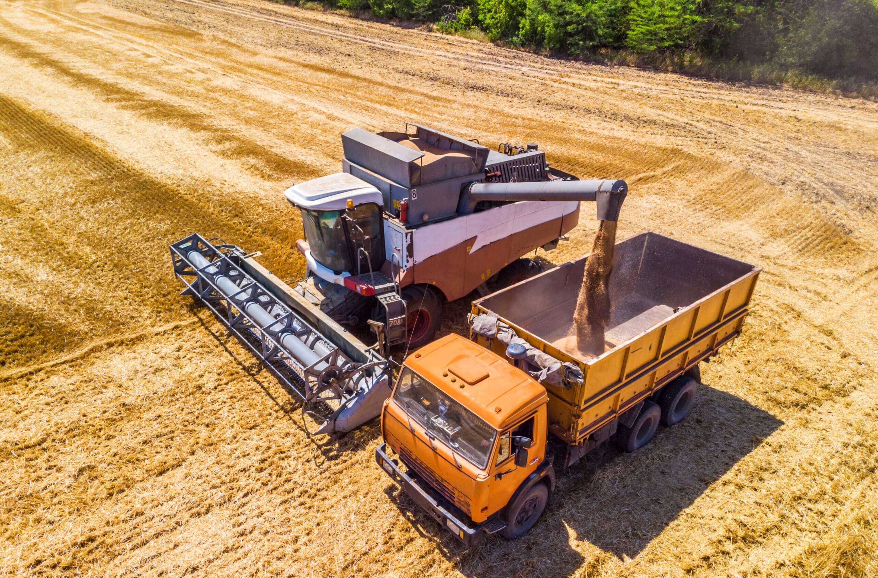 Getreideernte in Russland