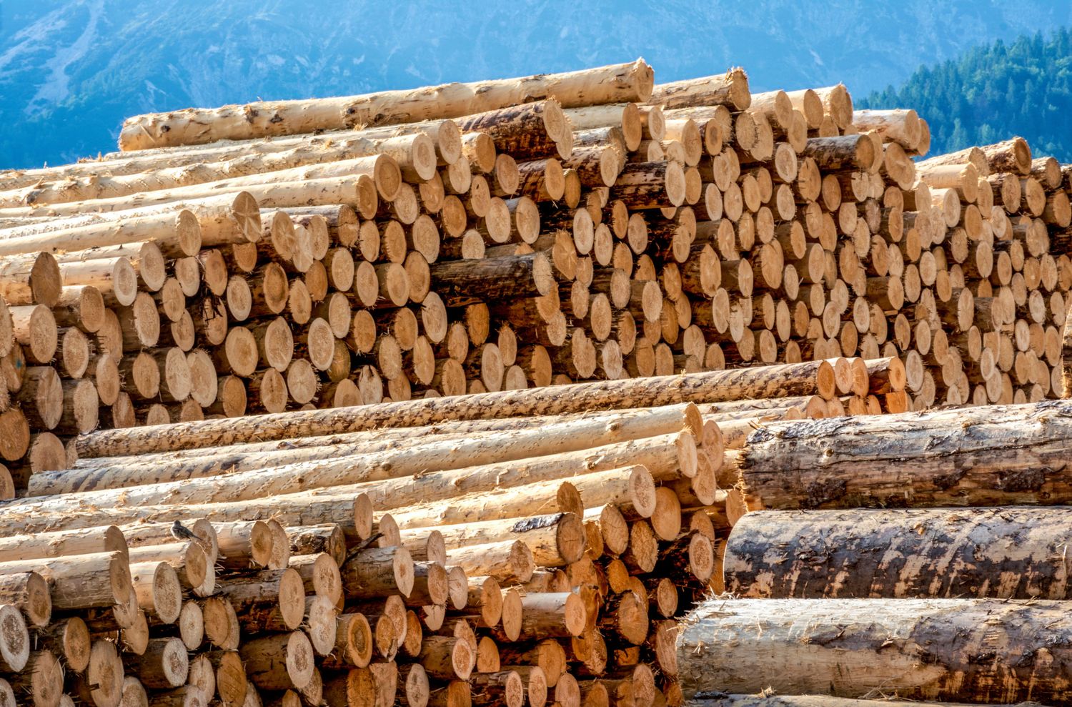 Holzlager