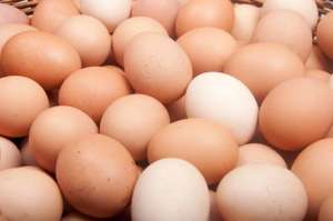 Eier
