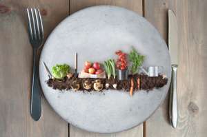 Organic Food Garden Concept