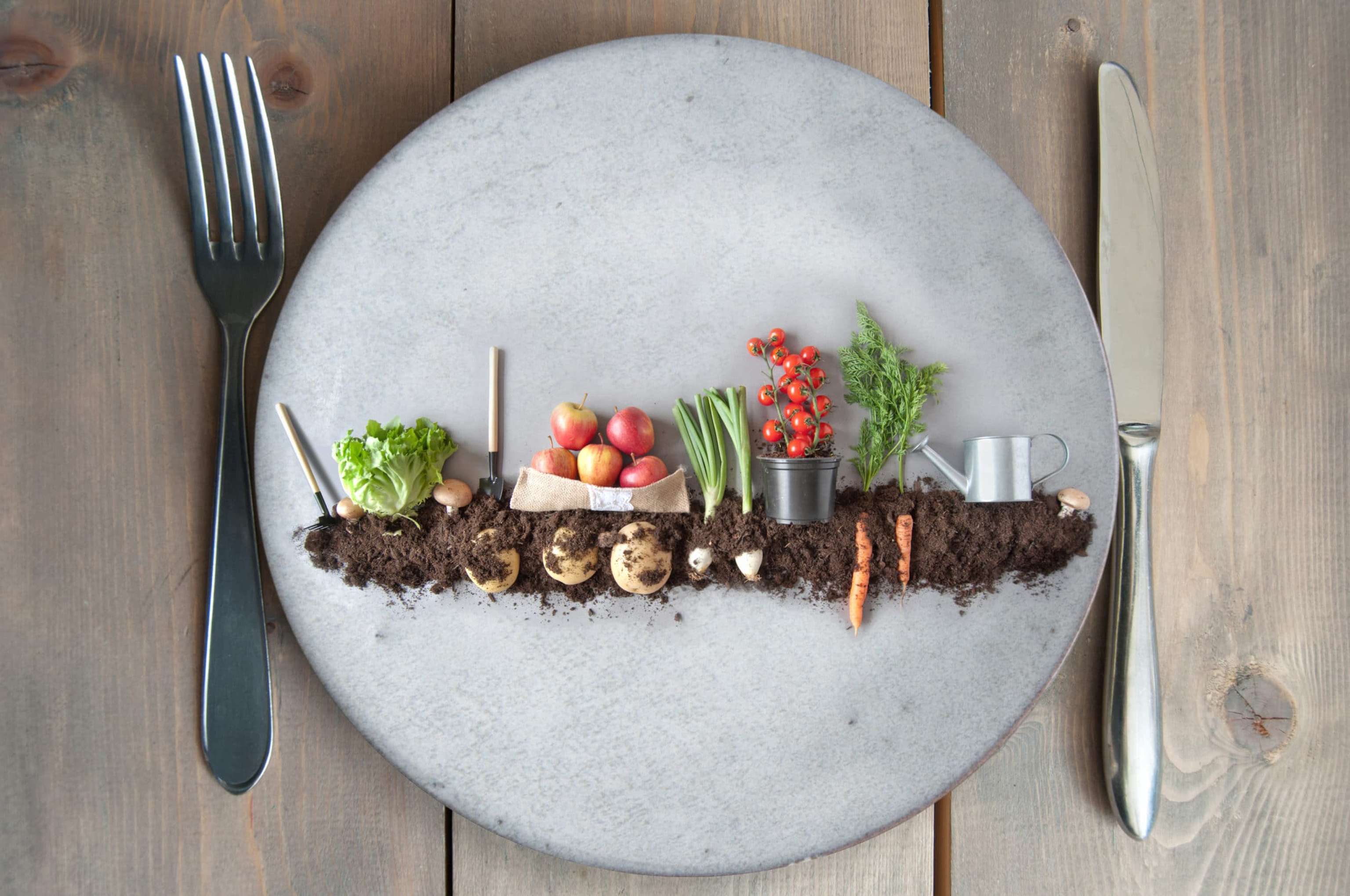 Organic Food Garden Concept