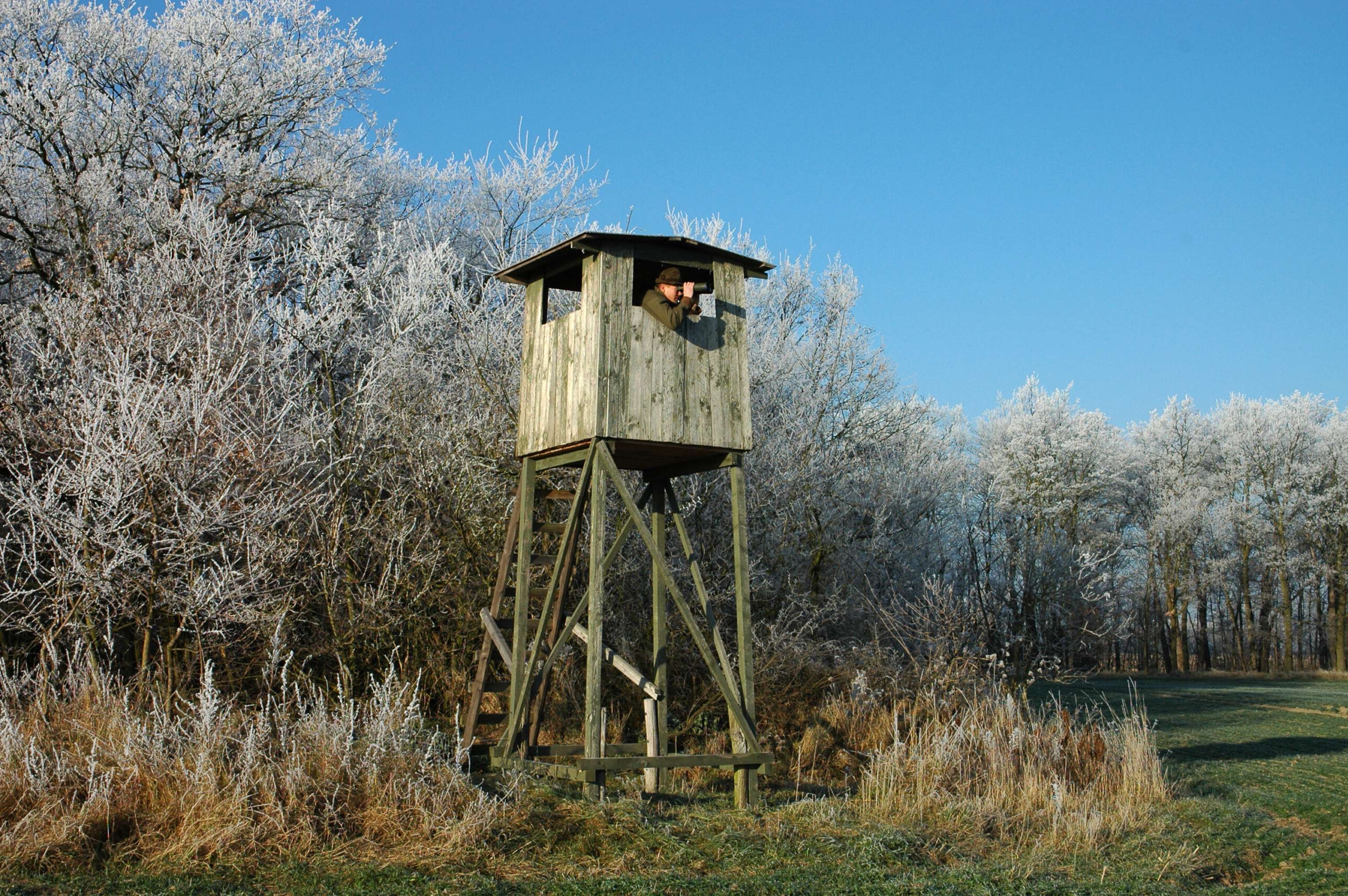 Heger, Pfleger, Jäger: Immer mehr Landsleute tragen Lodengrün. Die Jagd wird besonders in Oberösterreich immer beliebter.