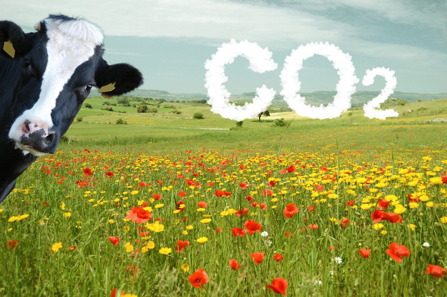 CO2 Landwirtschaft