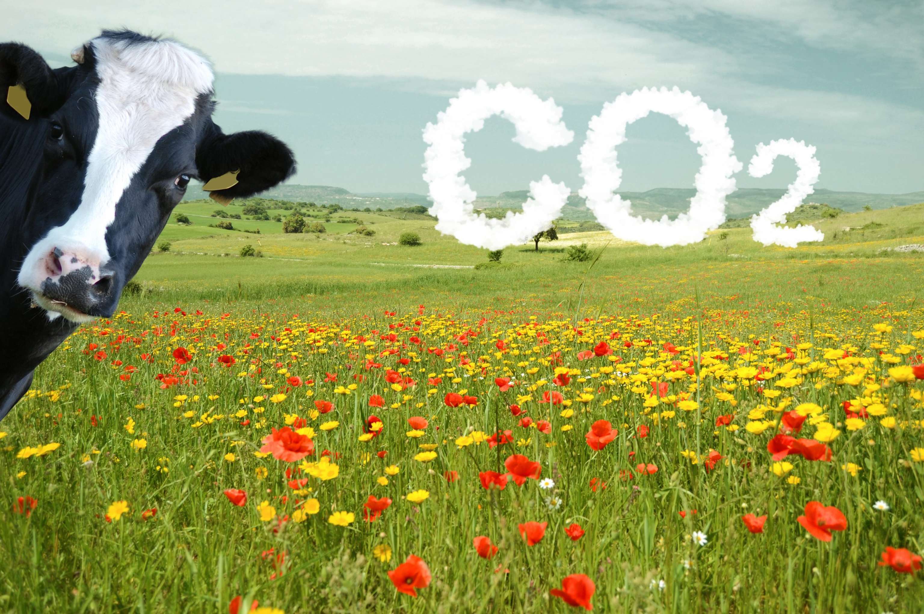 CO2 Landwirtschaft