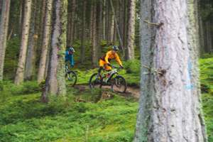 Mountainbiker auf freigegebenen Routen im Wald