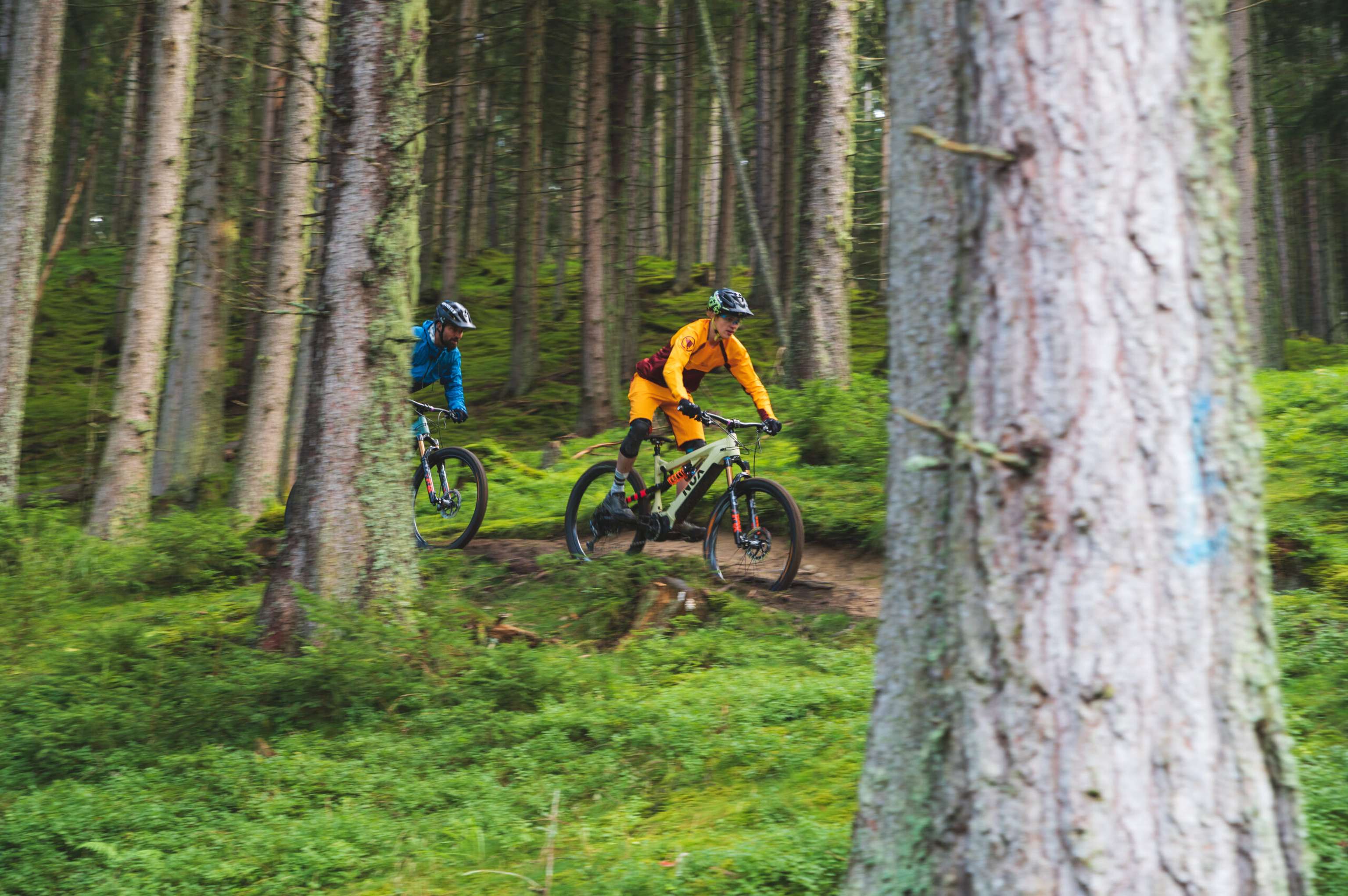Mountainbiker auf freigegebenen Routen im Wald