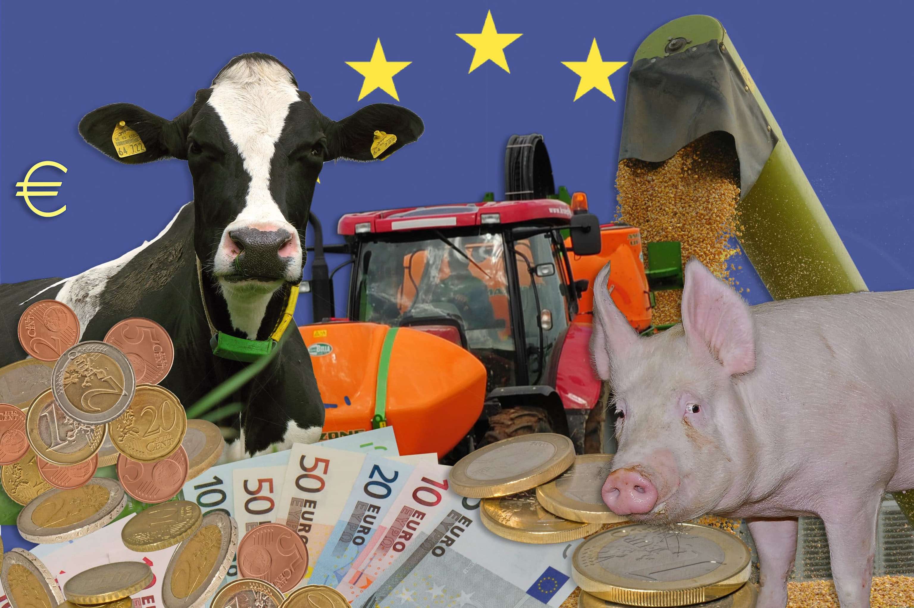 Agrargelder EU 1 ID55525(2)