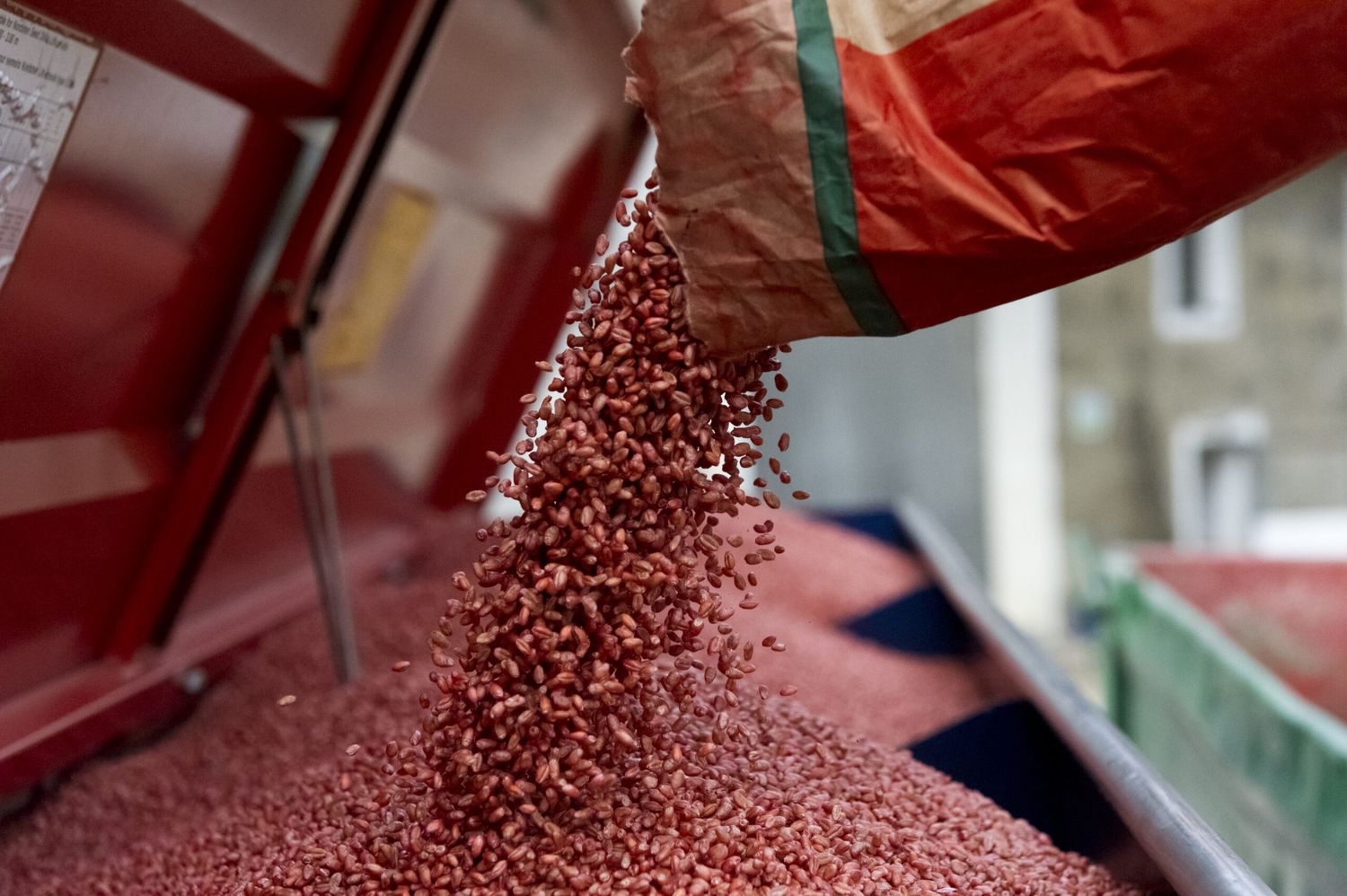 Die EU-Kommission lässt in ihren „Farm to Fork“-Plänen die Saatgutproduktion und damit auch die Beizung als innovative Pflanzenschutzmethode unberücksichtigt, bemängelt der Branchenexperte Florian Mayer.