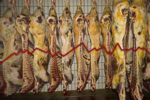 Rind Schlachten 33