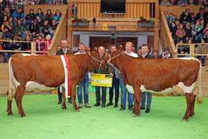 Pinzgauerausstellung