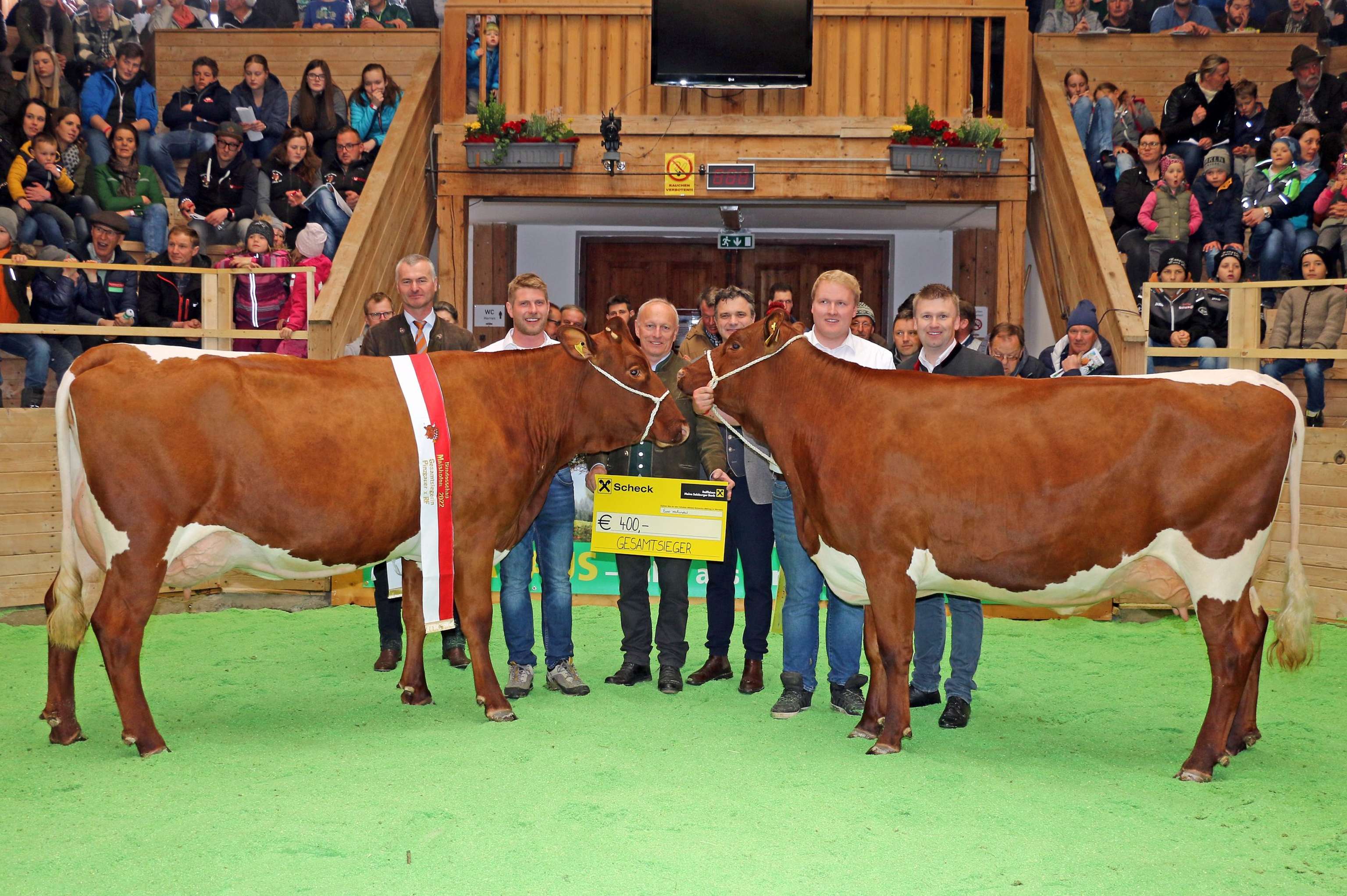 Pinzgauerausstellung