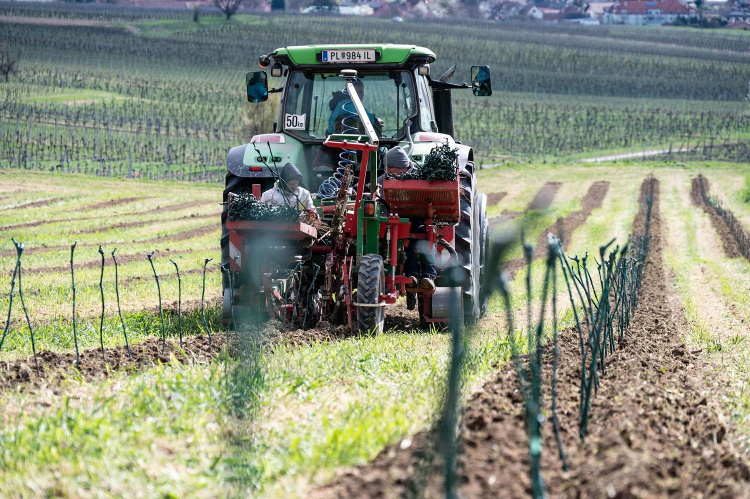 Bei der digitalen Planung werden Niederösterreichs Wein- und Obstbauern vom Maschinenring unterstützt.