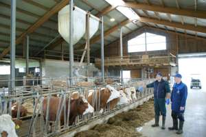 Tiergesundheit im Stall