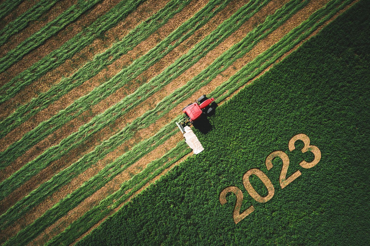 2023 Happy New Year
