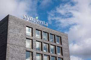 Syngenta Zentrale