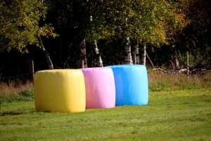 Bunte Ballen
