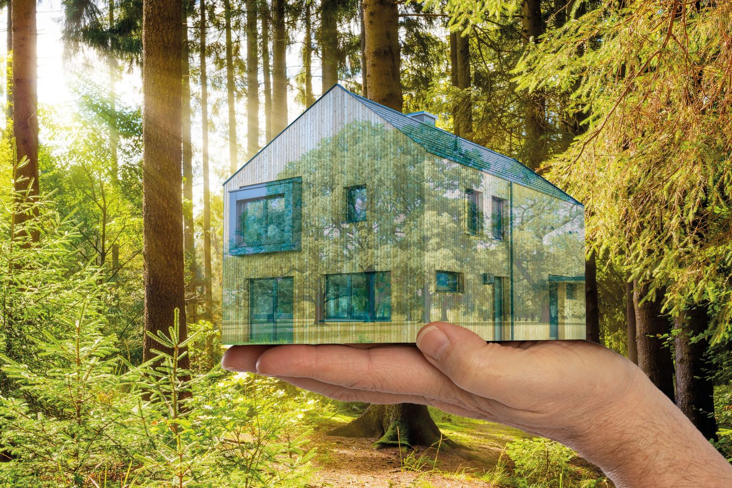 Holzbau