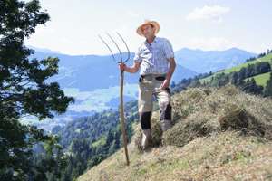 Bergbauer Mit Heugabel Bei Heuarbeit