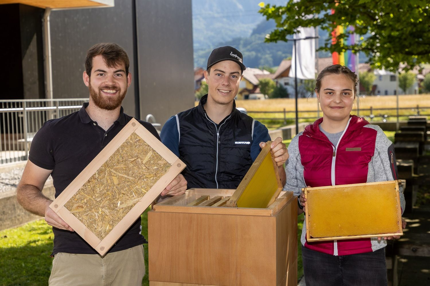 Naturdämmstoff Bienenzarge Foto: Franz Neumayr 14.06.2024