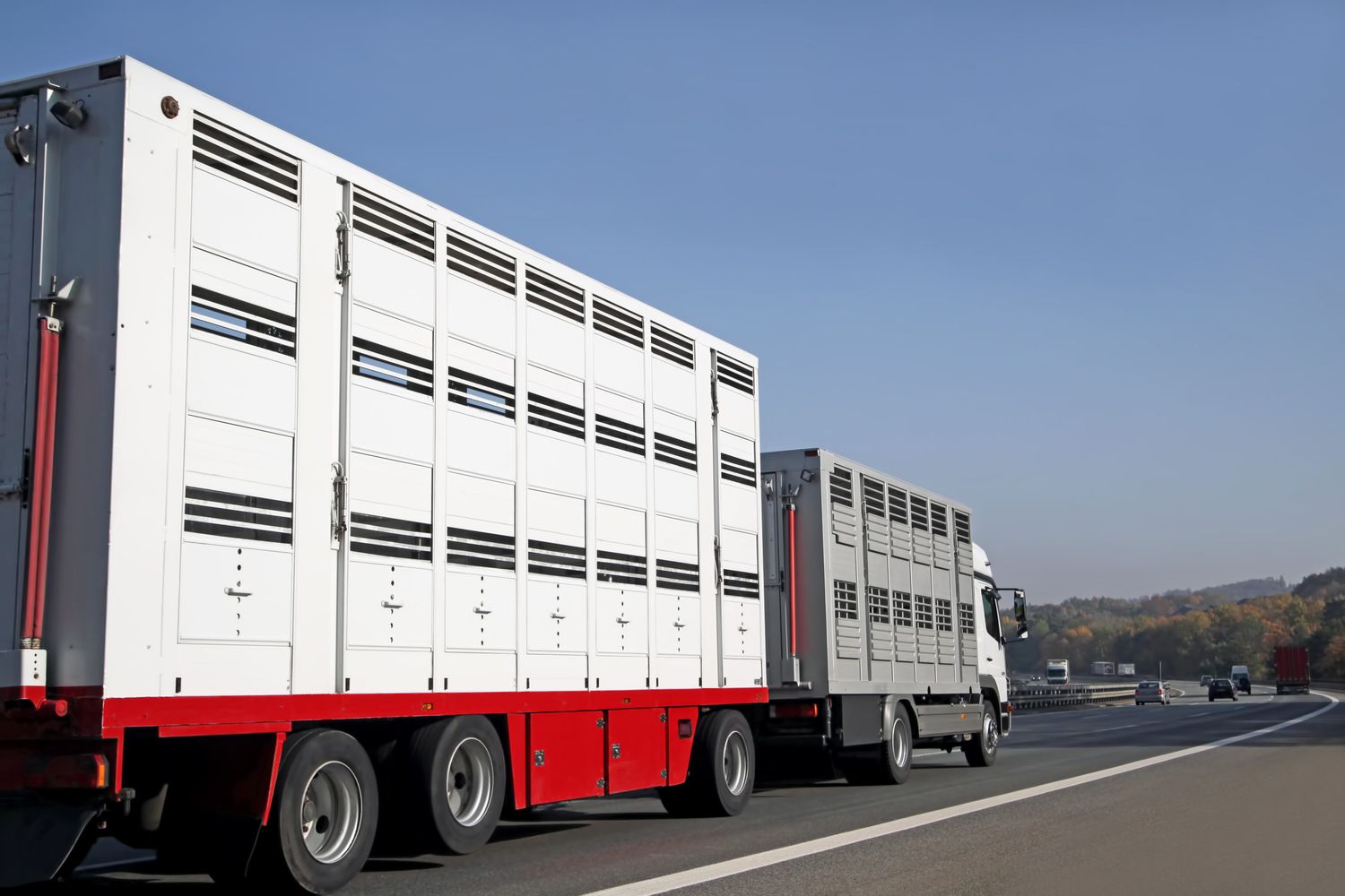 1.570 Transporte wurden 2022 von Amtstierärzten kontrolliert.