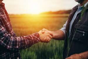 Close Up Farmers Handshake Outdoor On A Field